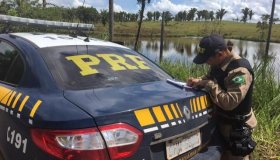 PRF inicia nesta sexta-feira, 28, a