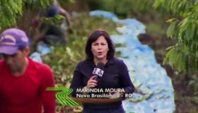 Em Nova Brasilândia, colheita de café conilon começa com boas expectativas