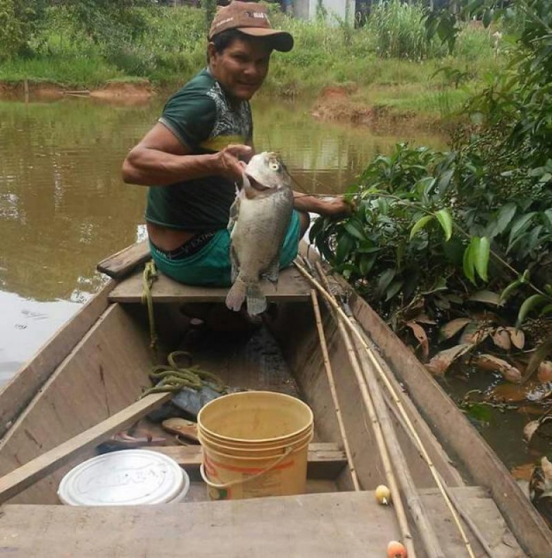 Pescador é atacado por sucuri na capital; veja o vídeo