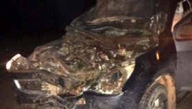 São Francisco: Carro com deputado estadual e assessores colide em cavalo na...