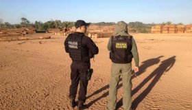 PF, Ibama e Receita deflagram Operação Máfia da Tora em Rondônia
