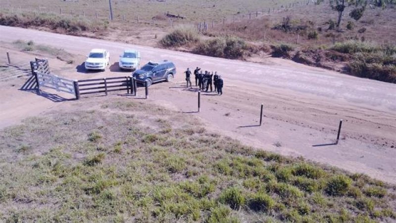 PF prendeu 4 durante Operação Máfia da Tora