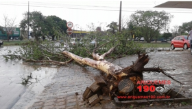 Chuva e ventania causa destruição em vários pontos de Ariquemes