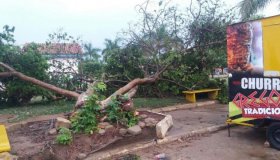 Chuva e vento forte assustam população e causam prejuízo em Buritis