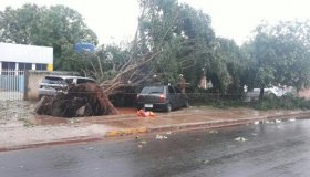 Tempestade provoca estragos em Pimenta Bueno, Ruas ficaram alagadas e casas...