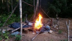 Ibama incendeia acampamentos de madeireiros e trator em reserva florestal