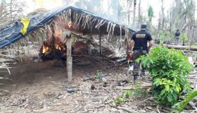 Fiscais ambientais de RO são ameaçados durante fiscalizações em unidades de...