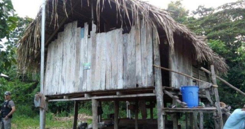 Por causa de égua, filho mata a própria mãe e depois é morto pelo irmão no Acre