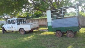 Centro de Controle de Zoonoses retoma captura de cães e gatos em Rolim