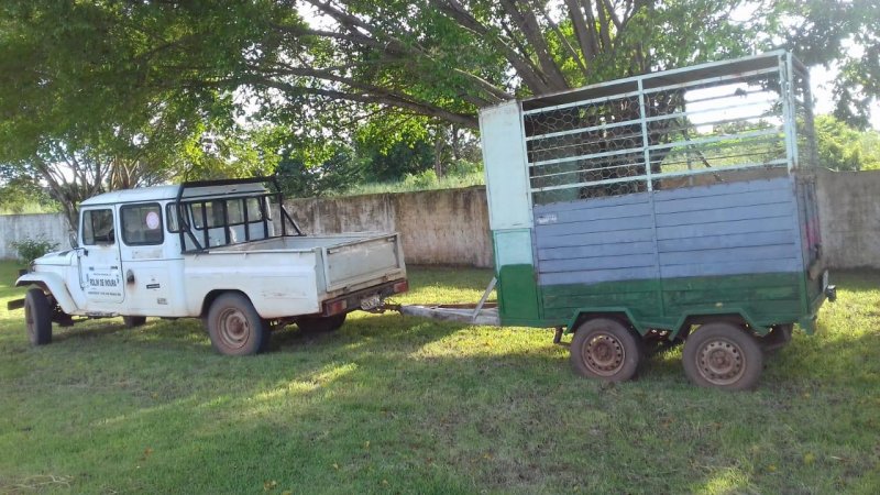 Centro de Controle de Zoonoses retoma captura de cães e gatos em Rolim
