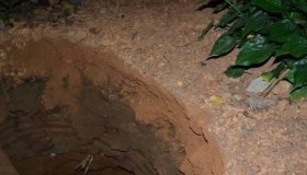 Menina de 7 anos morre sufocada ao cair em buraco na área rural de Vilhena;...