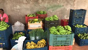 Rolim: Hospital Municipal recebe alimentos da Agricultura familiar