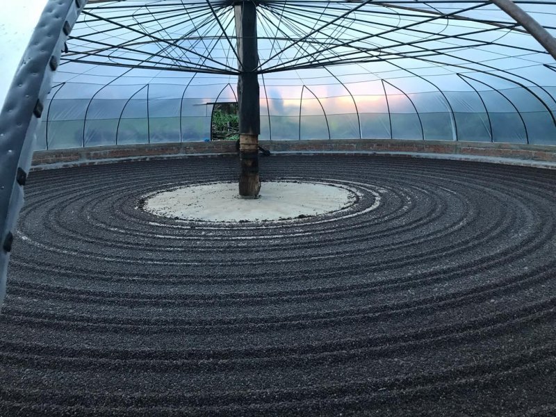Sicredi de São Miguel do Guaporé financia secador de café rotativo