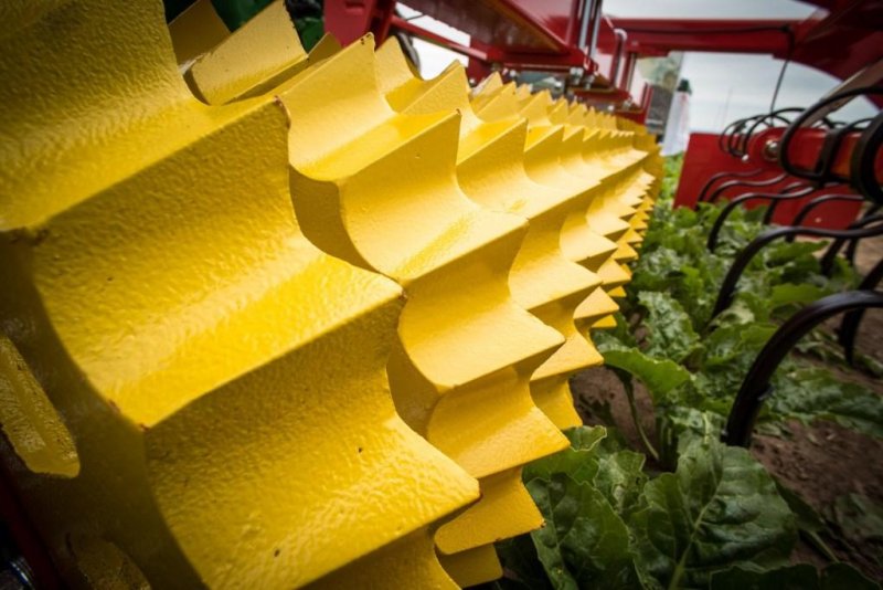 Saiba a importância do subsolador no meio florestal