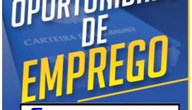 Oportunidade de Emprego para Açougueiro