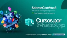 Sebrae lança 15 opções de cursos online gratuitos
