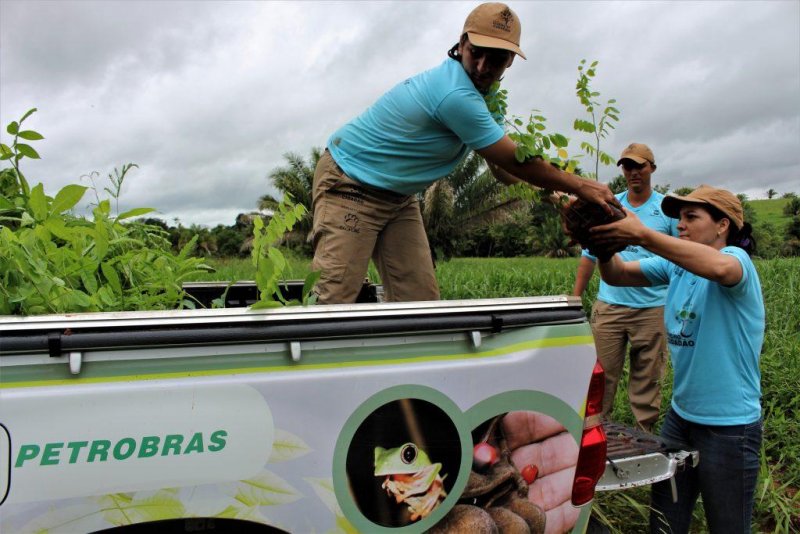 Viveiro Cidadão: Ecoporé fortalece ações de recomposição florestal na Zona da Mata e região