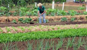 Cadastro da Agricultura Familiar consolida e amplia informações da antiga...