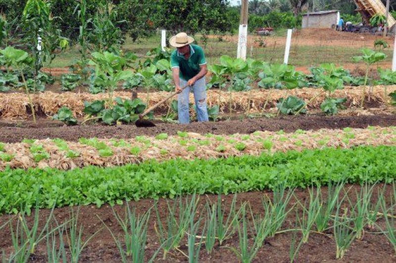 Cadastro da Agricultura Familiar consolida e amplia informações da antiga Declaração de Aptidão