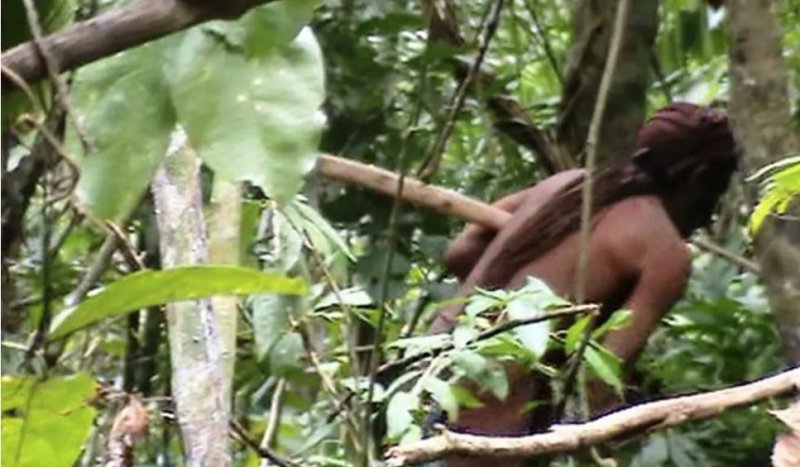 Índio da tribo Tanaru vive isolado há 22 anos. — Foto: Reprodução/Funai