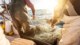 Período do defeso de algumas espécies de peixes segue nos rios de Rondônia
