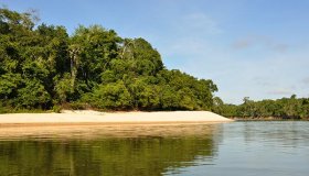 Rondônia apresenta ações de fomento à economia verde na COP-27