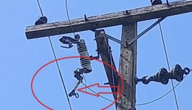 Canela desarma e sitiante está há quatro dias sem energia na área rural de...