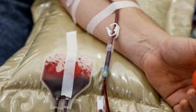 Fhemeron aponta necessidade de doação de sangue durante o final de ano;...