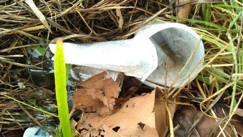 Foto 1 da matéria: No período da chuvas, cuidados evitam a proliferação do mosquito da dengue, SEMUSA reforça o chamado para o combate em Rolim de Moura