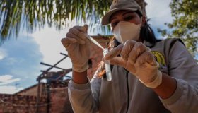 Período chuvoso exige atenção no combate ao mosquito aedes aegypt
