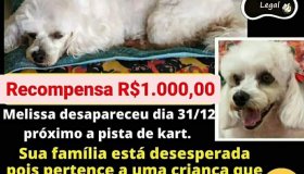 Família paga MIL REAIS de recompensa pra quem encontrar Melissa