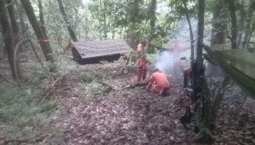Cadela militar, bombeiros e avião compõe força-tarefa para resgate de...