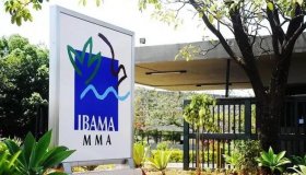 Comissão de aprovados quer a convocação de 700 aprovados no Ibama