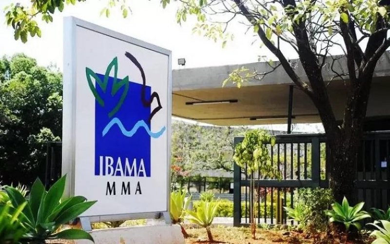 Comissão de aprovados quer a convocação de 700 aprovados no Ibama