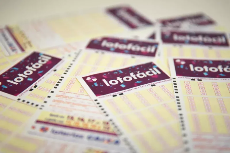 Bilhete volante loteria lotofácil loto fácil versão 2018 — Foto: Marcelo Brandt/G1