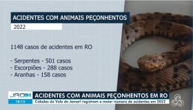Mais de 1,1 mil acidentes com animais peçonhentos são registrados em...