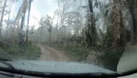 Justiça Federal determina que União e Funai apresentem plano de proteção da...