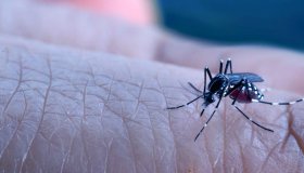 Mais uma mulher morre com suspeita de dengue em Rondônia