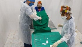 Ação do Centro de Zoonoses e Unir resulta em mais de 70 animais castrados em...