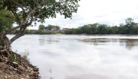 Nível do rio Machado passa de 9,5 metros e Defesa Civil emite alerta em...