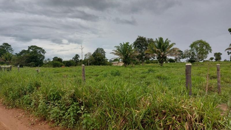 Foto 4 da matéria: Oportunidade: Chácara à venda em Rolim de Moura