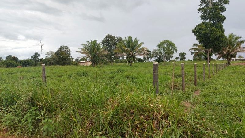 Foto 5 da matéria: Oportunidade: Chácara à venda em Rolim de Moura