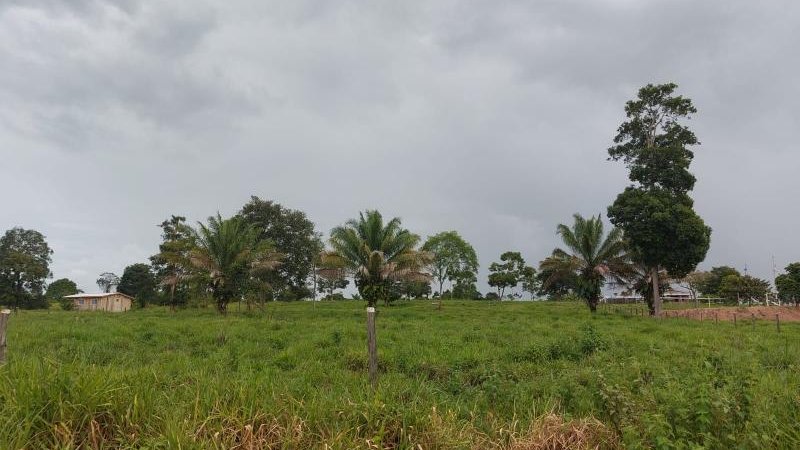 Foto 1 da matéria: Oportunidade: Chácara à venda em Rolim de Moura