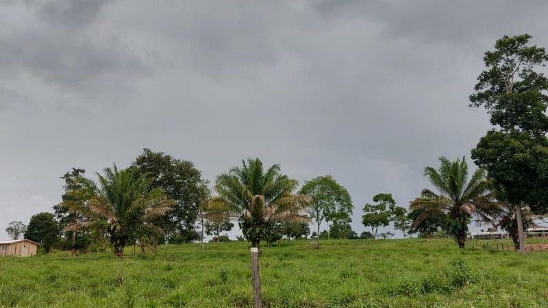 Foto 2 da matéria: Oportunidade: Chácara à venda em Rolim de Moura