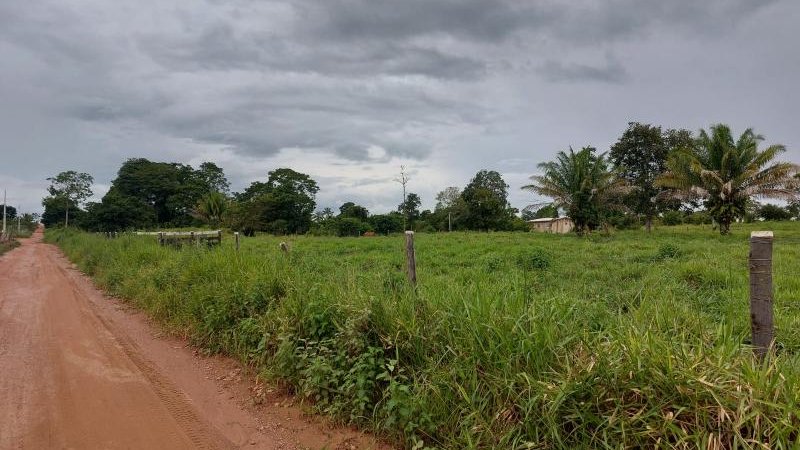 Foto 3 da matéria: Oportunidade: Chácara à venda em Rolim de Moura