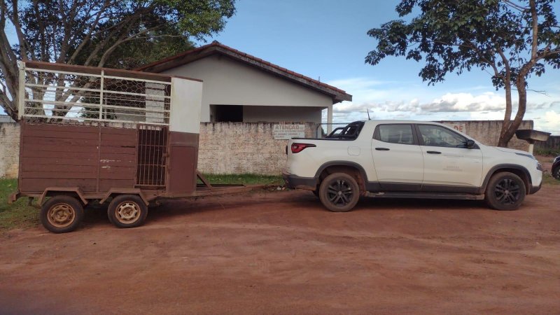 Equipes do CCZ de Rolim de Moura retorna com recolhimento de animais soltos em vias públicas
