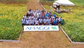 Amaggi abre programa de trainee com vagas para Rondônia