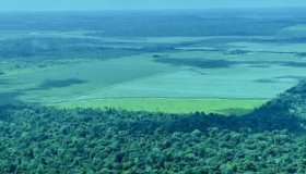 Rondônia tem alta de 450% em desmatamento em um ano, aponta Imazon