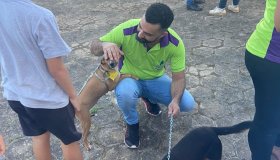 Feira de adoção foi um sucesso, 19 animais foram levados para novos lares em...