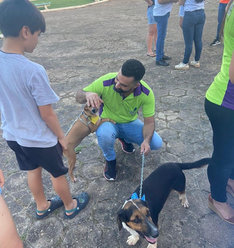 Feira de adoção foi um sucesso, 19 animais foram levados para novos lares em Rolim de Moura